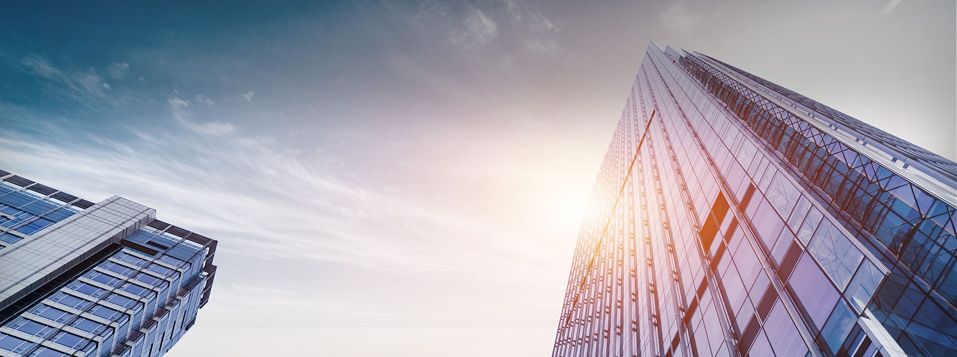 關(guān)于鉑納特斯